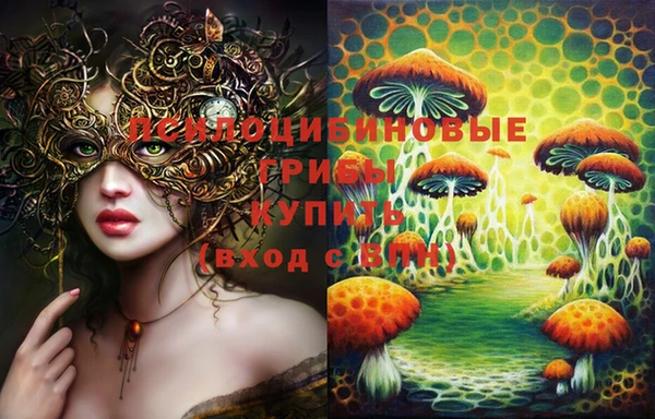 дмт Абинск