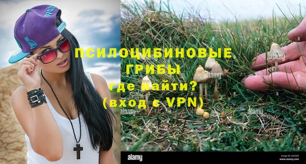 дмт Абинск