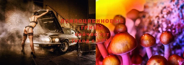 mix Абаза