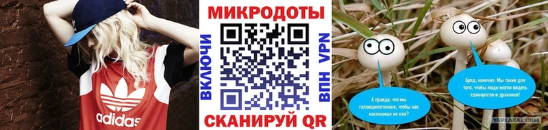 дарк нет официальный сайт  Шимановск  Галлюциногенные грибы MAGIC MUSHROOMS  купить наркотики сайты 